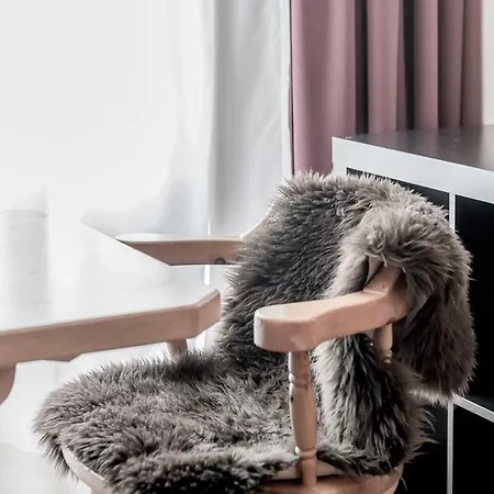 Boutique Cervus 호텔 3*